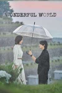 Wonderful World - Posters