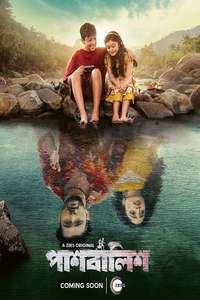Paashbalish - Posters