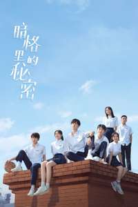 Our Secret - Posters