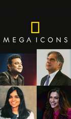 Mega Icons
