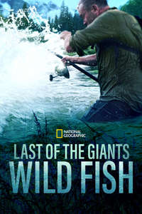 Last of the Giants - Posters