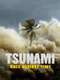 Tsunami: Race Against Time