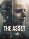 The Asset