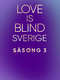 Love Is Blind: Sweden