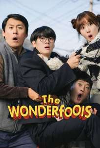The WONDERfools - Posters