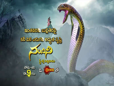 Nandhini - Backdrop
