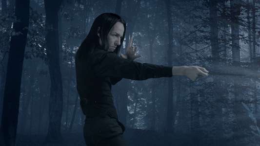 Severus Snape and the Marauders - Backdrop