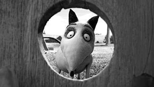 Frankenweenie - Backdrops