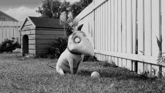 Frankenweenie - Backdrops