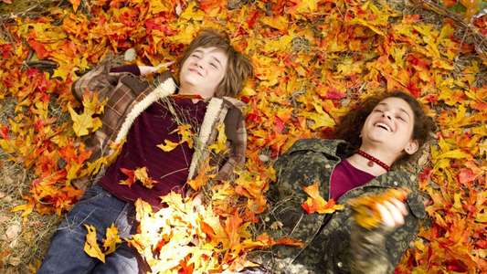 The Odd Life of Timothy Green - Backdrops