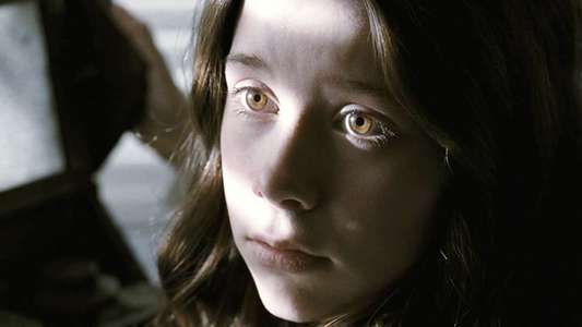The Possession - Backdrop