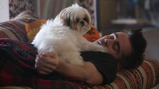 Seven Psychopaths - Backdrop