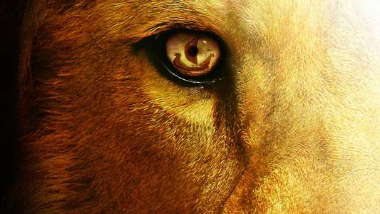 The Chronicles of Narnia: The Voyage of the Dawn Treader - Backdrops