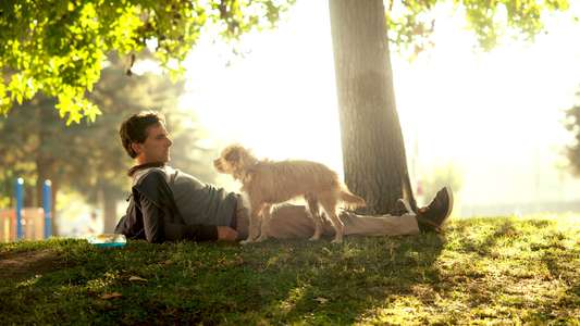 Seeking a Friend for the End of the World - Backdrop