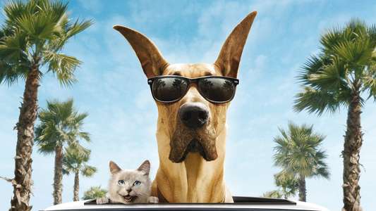 Marmaduke - Backdrop
