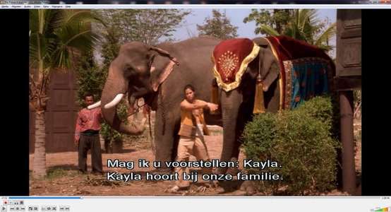 The Prince & Me 4: The Elephant Adventure - Backdrop