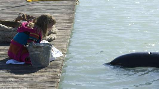 Free Willy: Escape From Pirate's Cove - Backdrop