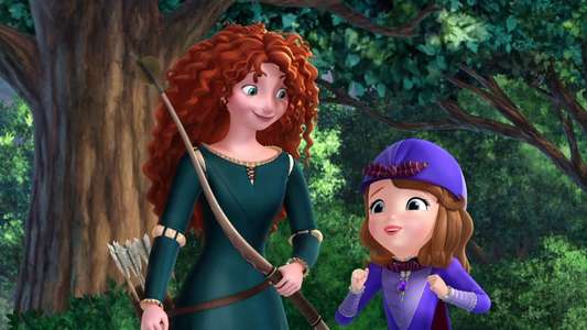 Princess Sofia: The Secret Bookstore - Backdrop