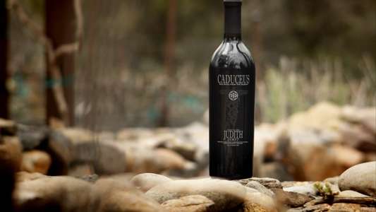 Blood Into Wine - Backdrop