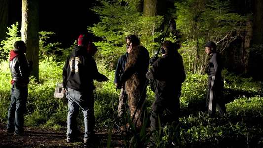 Bigfoot: The Lost Coast Tapes - Backdrop