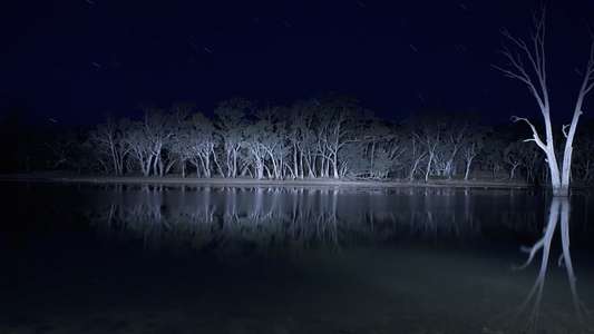 Lake Mungo - Backdrop