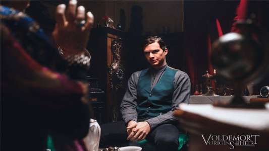 Voldemort: Origins of the Heir - Backdrop