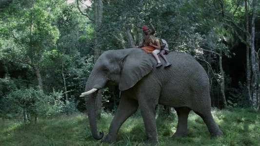 Magic Journey to Africa - Backdrop