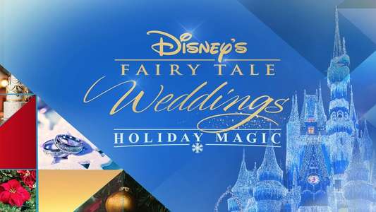 Disney’s Fairy Tale Weddings: Holiday Magic - Backdrop