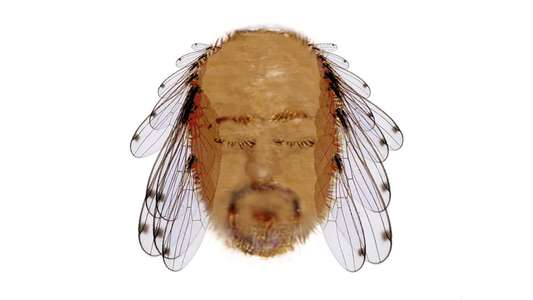 Bill Bailey: Tinselworm - Backdrop