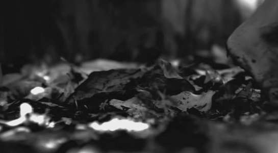 Crushed - Backdrop