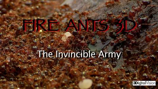 Fire Ants 3D: The Invincible Army - Backdrop