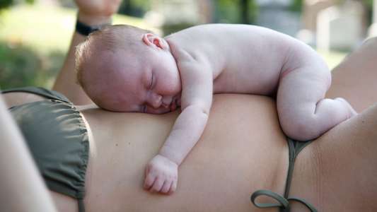 The Baby Formula - Backdrop