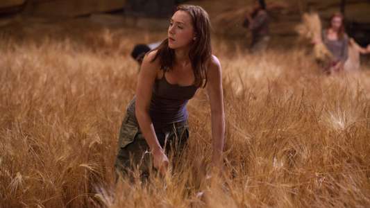 The Host - Backdrop