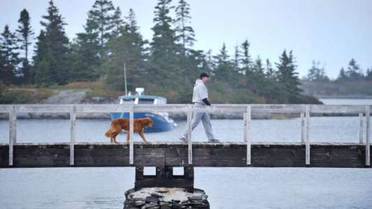 Jesse Stone: Innocents Lost - Backdrop