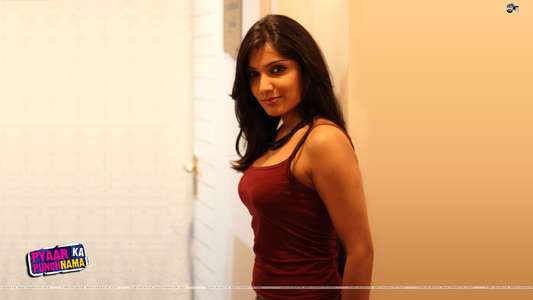 Pyaar Ka Punchnama - Backdrop