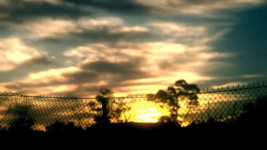 Bellflower - Backdrop