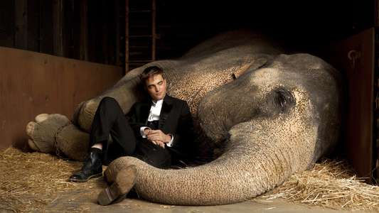 Water for Elephants - Backdrop