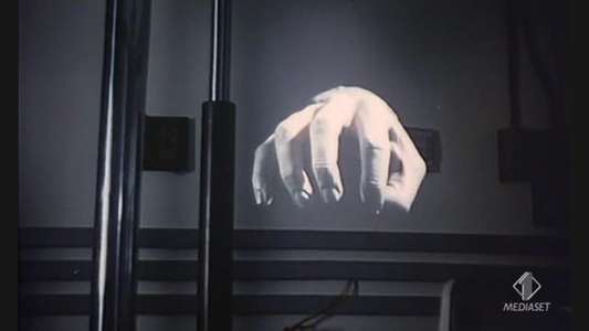 Miami Golem - Backdrop