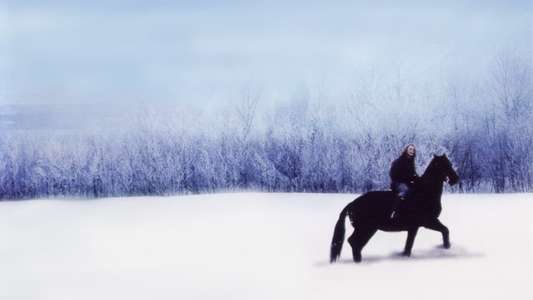 The Winter Stallion - Backdrop