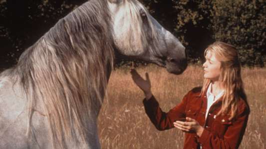 The Princess Stallion - Backdrop