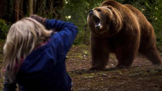 Grizzly Rage - Backdrop