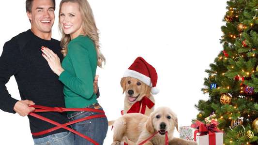 Love for Christmas - Backdrop