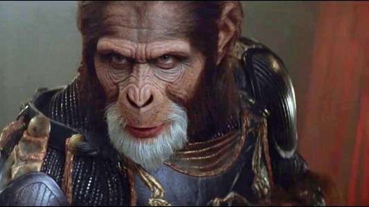 Planet of the Apes - Backdrop