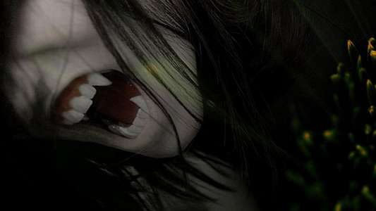 Interview with the Vampire - Backdrop