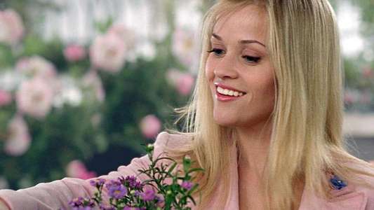 Legally Blonde 2: Red  White & Blonde - Backdrop