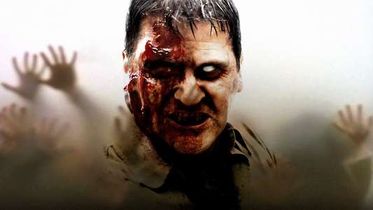 Dawn of the Dead - Backdrops