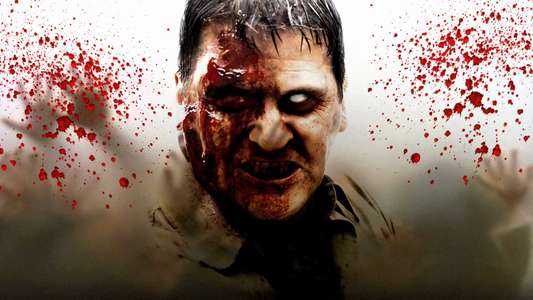 Dawn of the Dead - Backdrops
