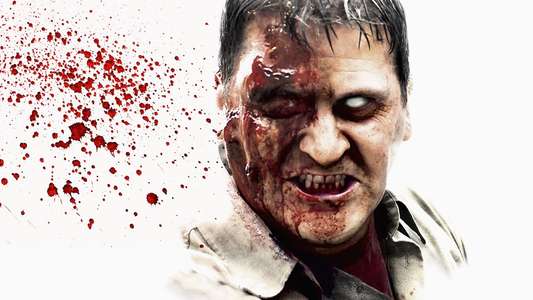 Dawn of the Dead - Backdrops