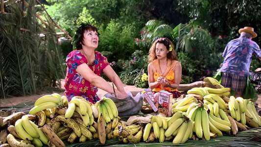 Christmas Vacation 2: Cousin Eddie's Island Adventure - Backdrop