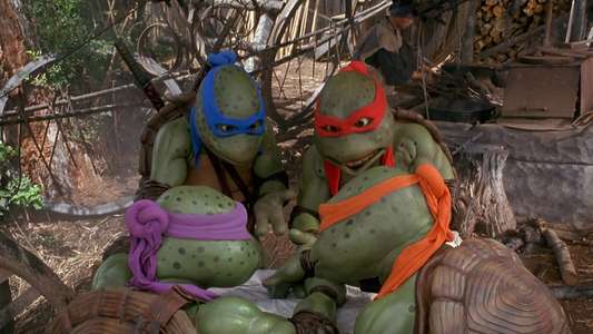 Teenage Mutant Ninja Turtles III - Backdrop